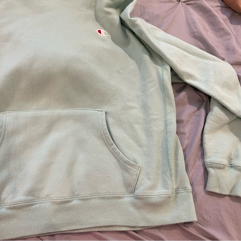 champion reverse weave hoodie